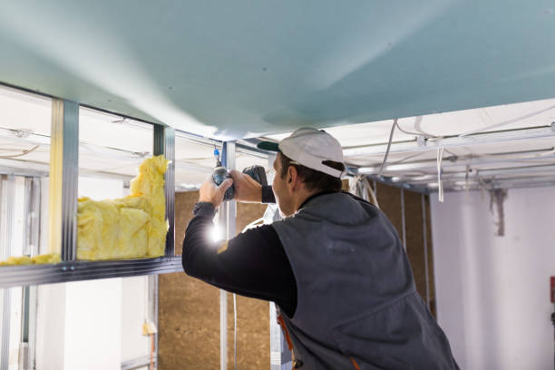 Best Spray Foam Insulation in Lido Beach, NY