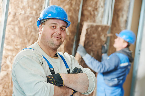 Best Insulation Maintenance and Repair in Lido Beach, NY